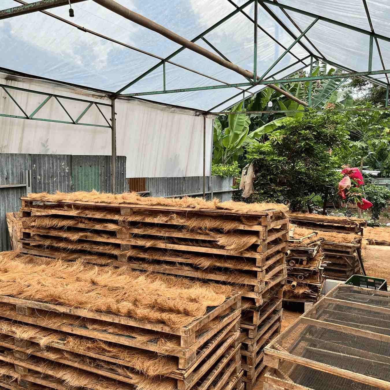 Hasil Produksi Cocobristle